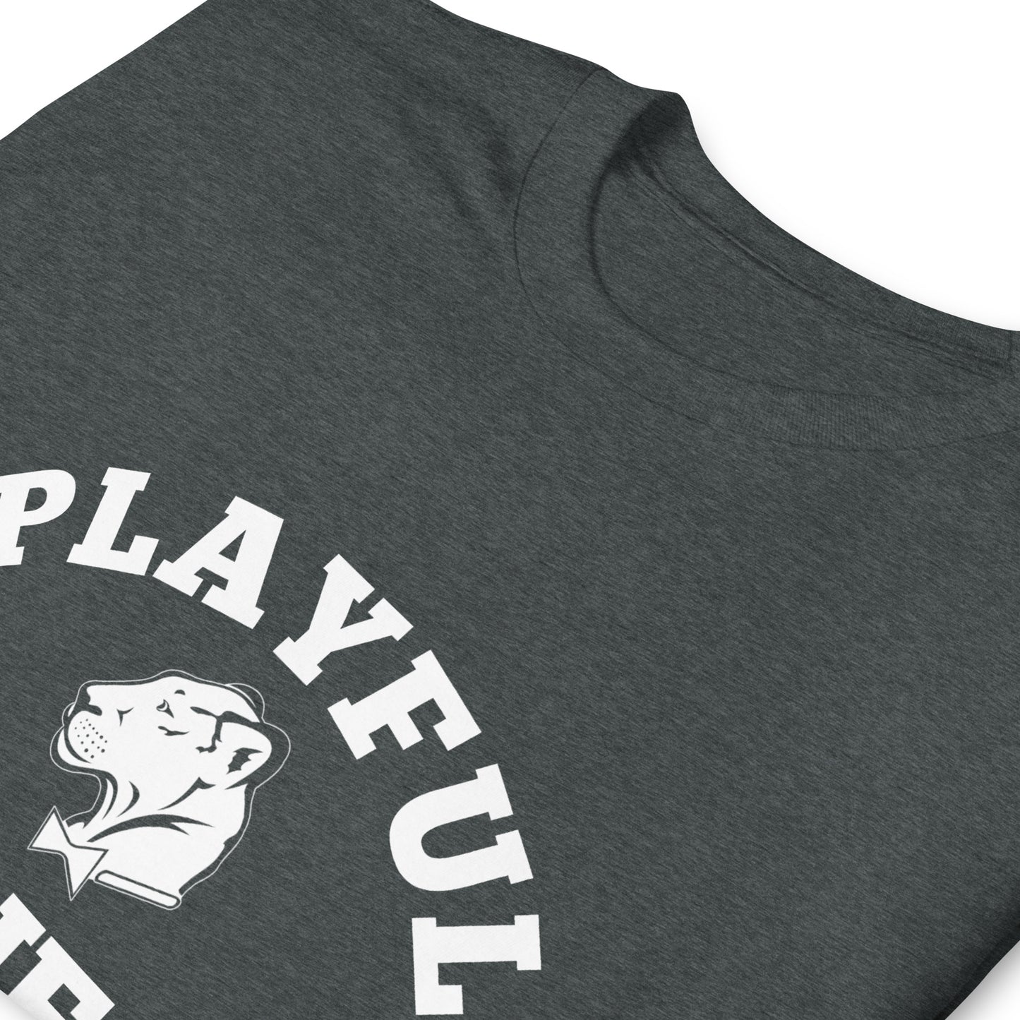 Playful Aries (Unisex) T-Shirt