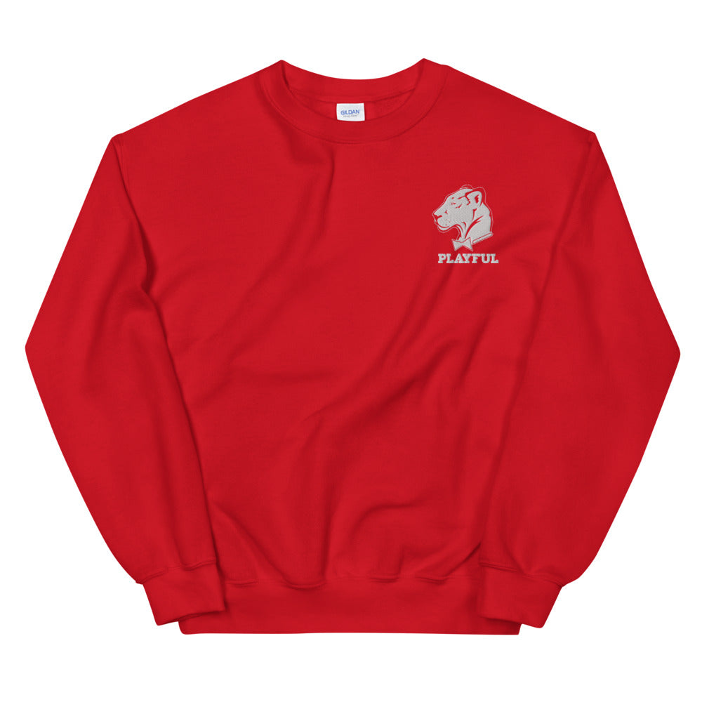 Playful Embroidered (Unisex) Sweatshirt