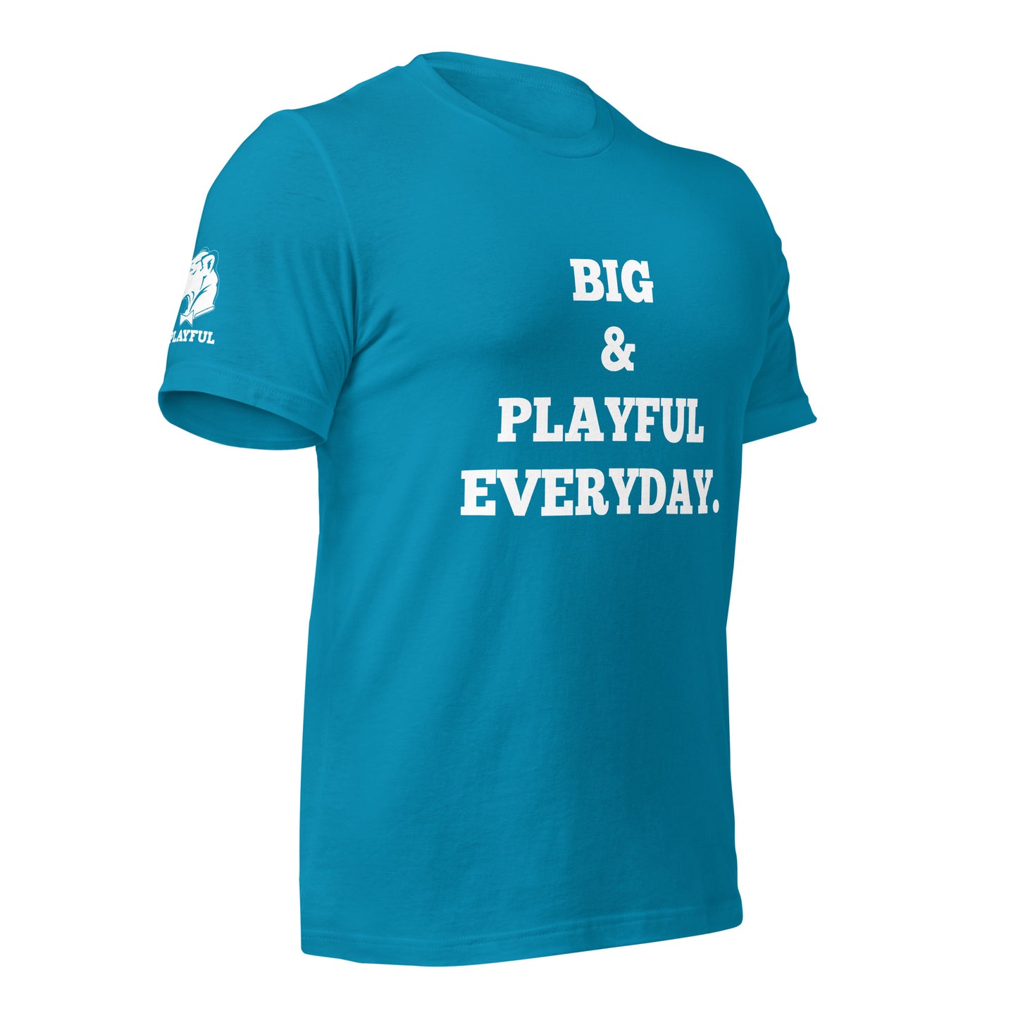 Big & Playful Everyday (Unisex) T-Shirt