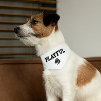 Playful Pet Bandana Collar