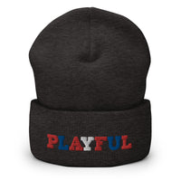 Captain Playful Cuffed Beanie