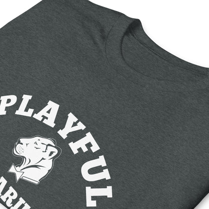 Playful Aquarius (Unisex) T-Shirt