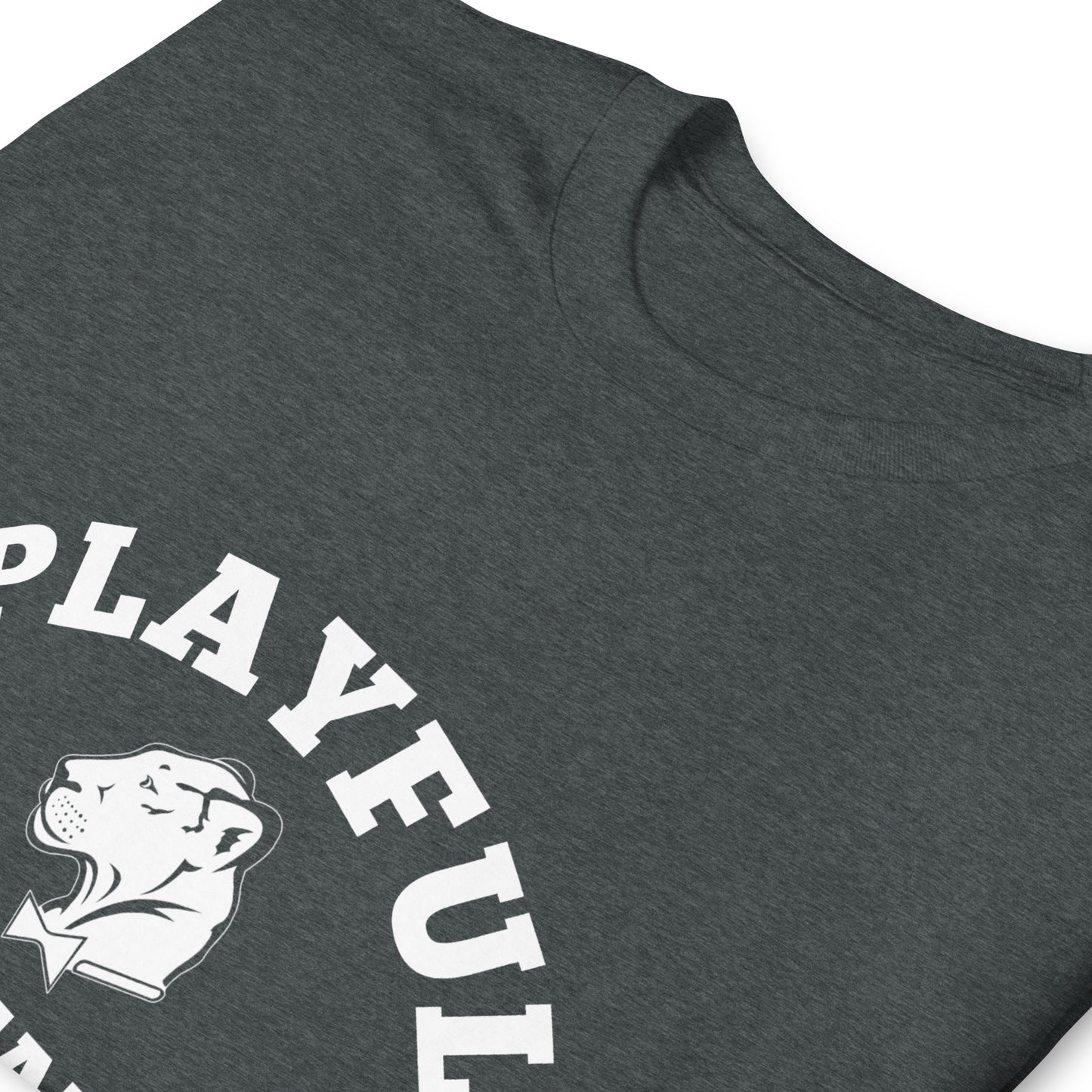 Playful Sagittarius (Unisex) T-Shirt