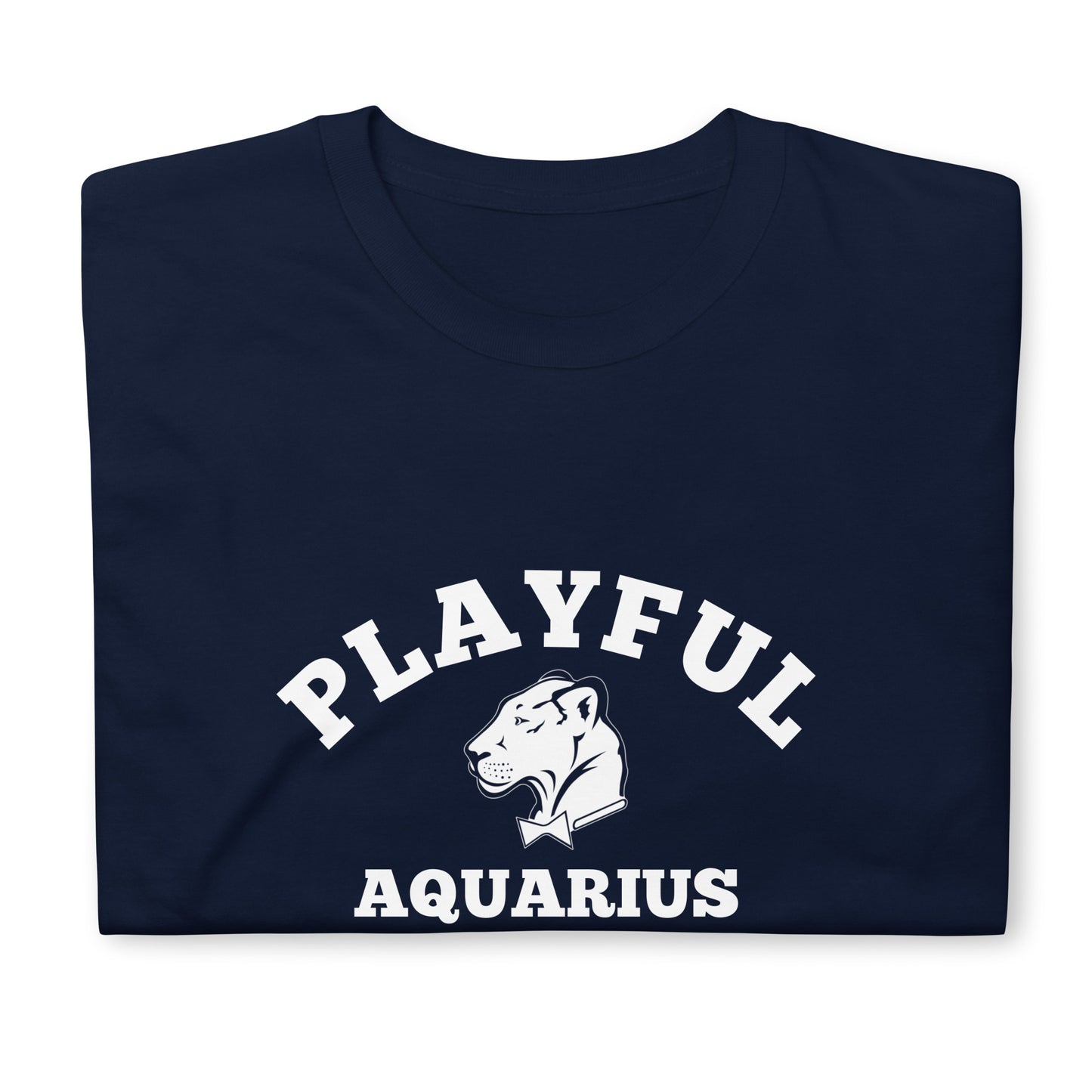Playful Aquarius (Unisex) T-Shirt