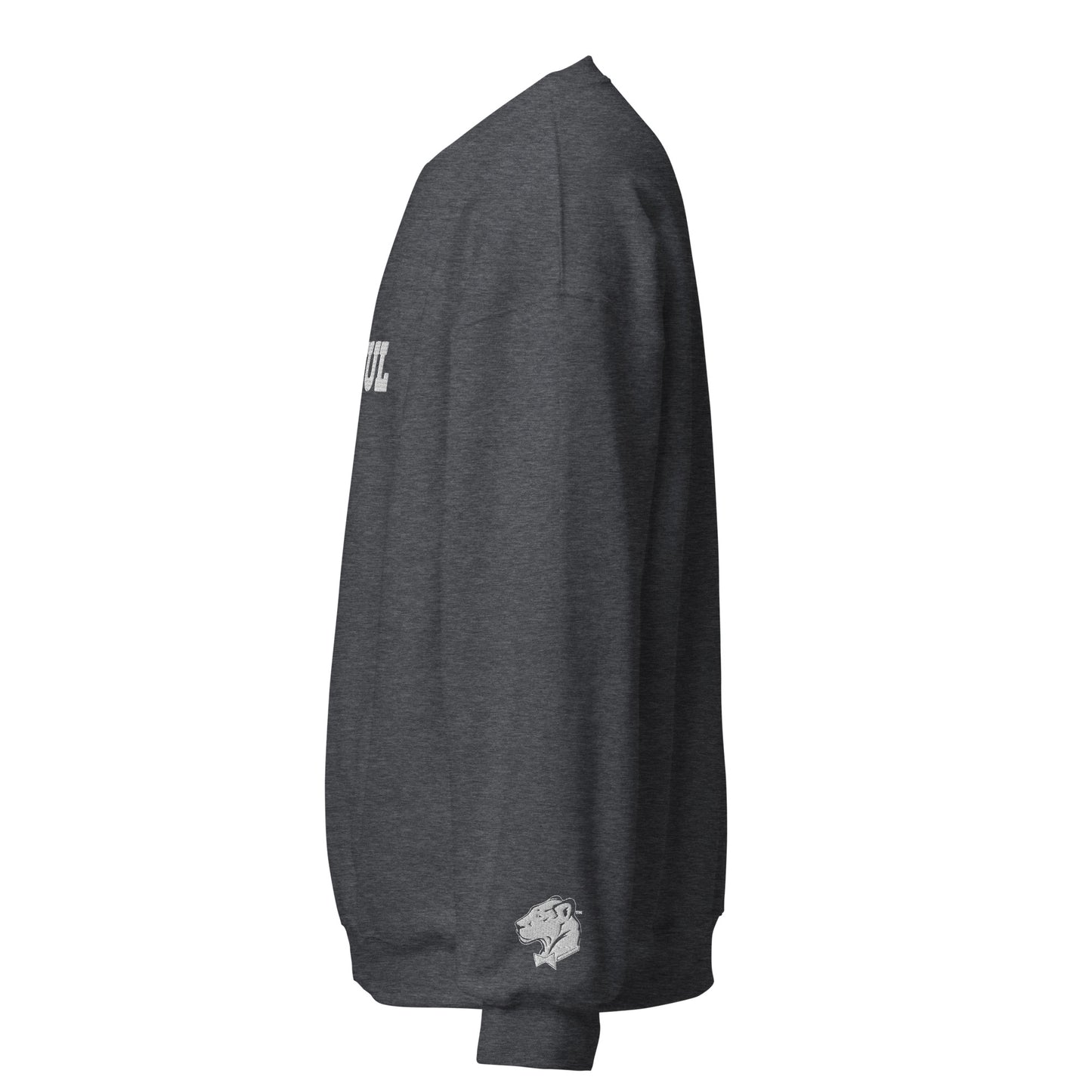 Playful Embroidered (Unisex) Sweatshirt