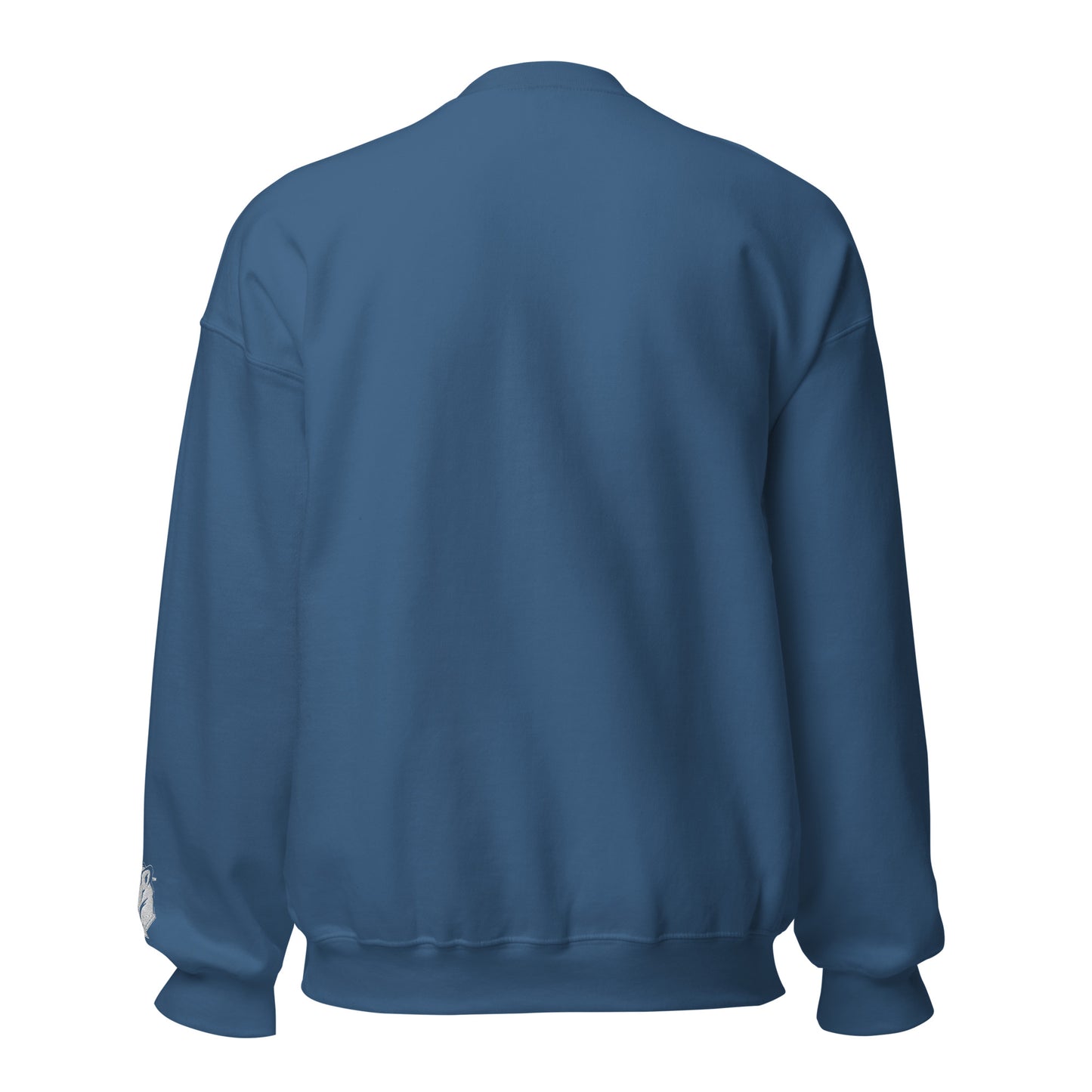 Playful Embroidered (Unisex) Sweatshirt