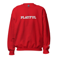 Playful Embroidered (Unisex) Sweatshirt