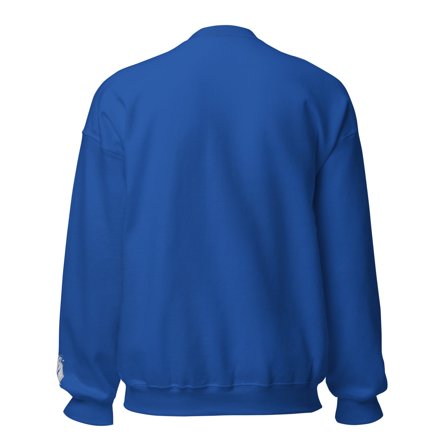 Playful Embroidered (Unisex) Sweatshirt