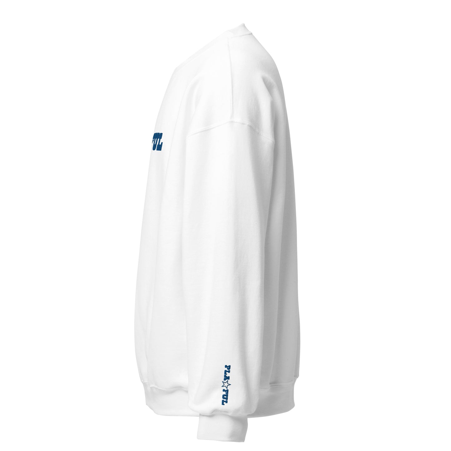 Playful Cowboys Embroidered (Unisex) Sweatshirt