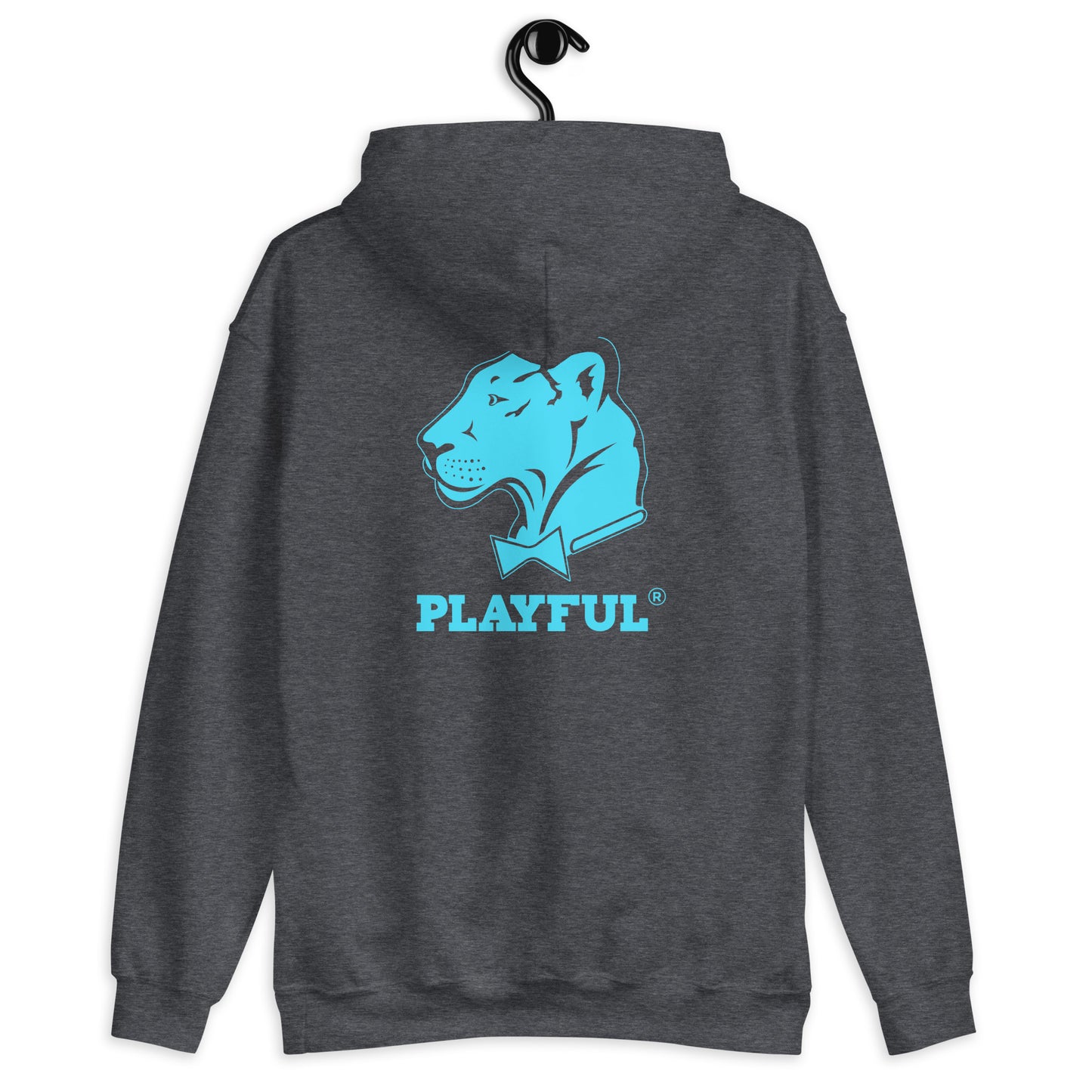Playful Ballantyne Ridge High (Unisex) Hoodie