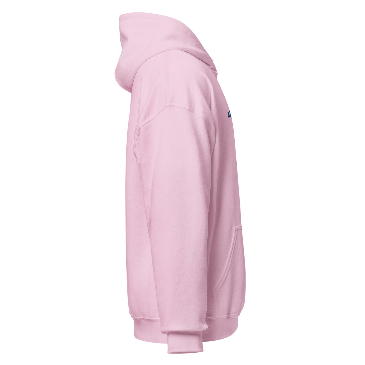 Playful Cowboys Embroidered (Unisex) Hoodie