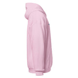 Playful Cowboys Embroidered (Unisex) Hoodie