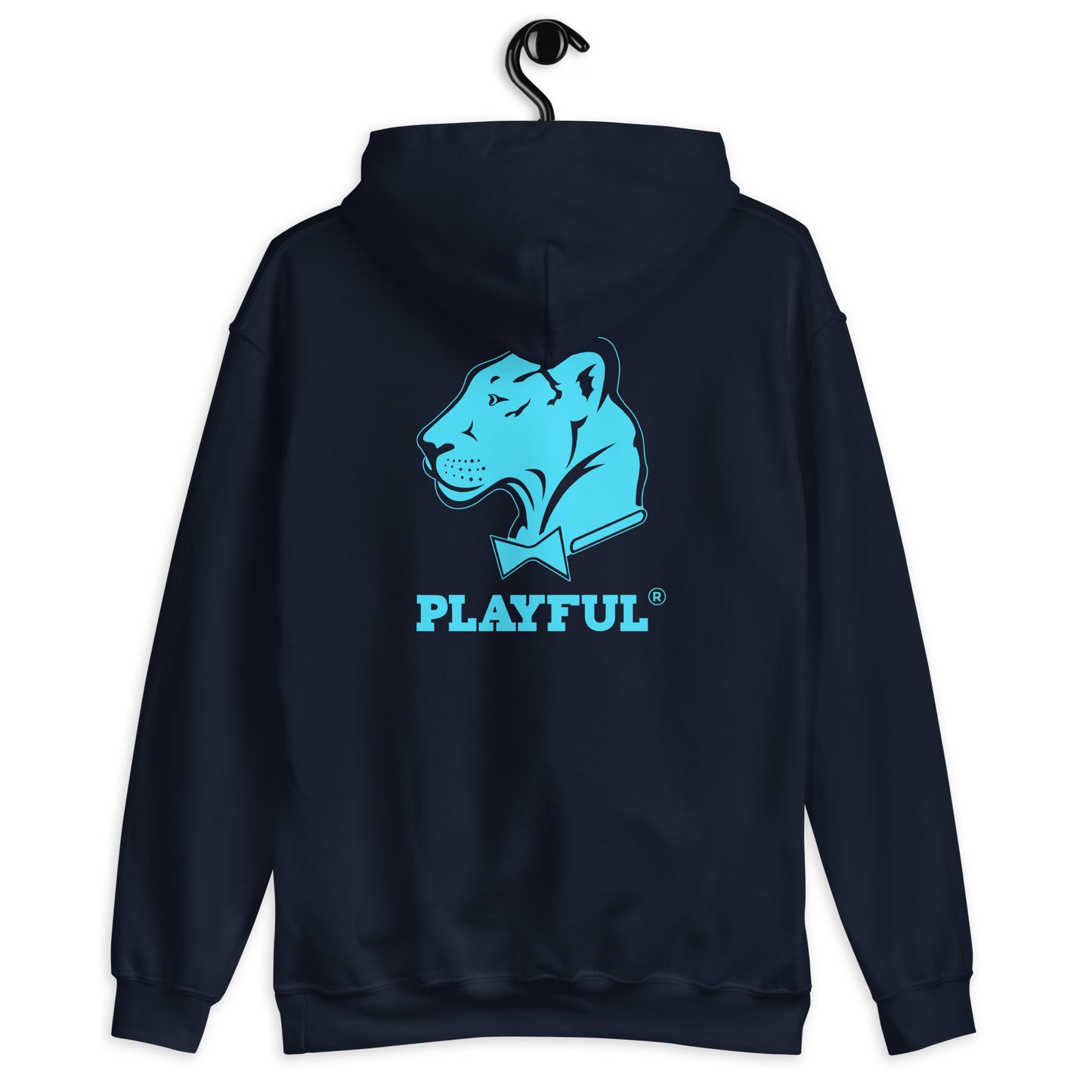 Playful Ballantyne Ridge High (Unisex) Hoodie