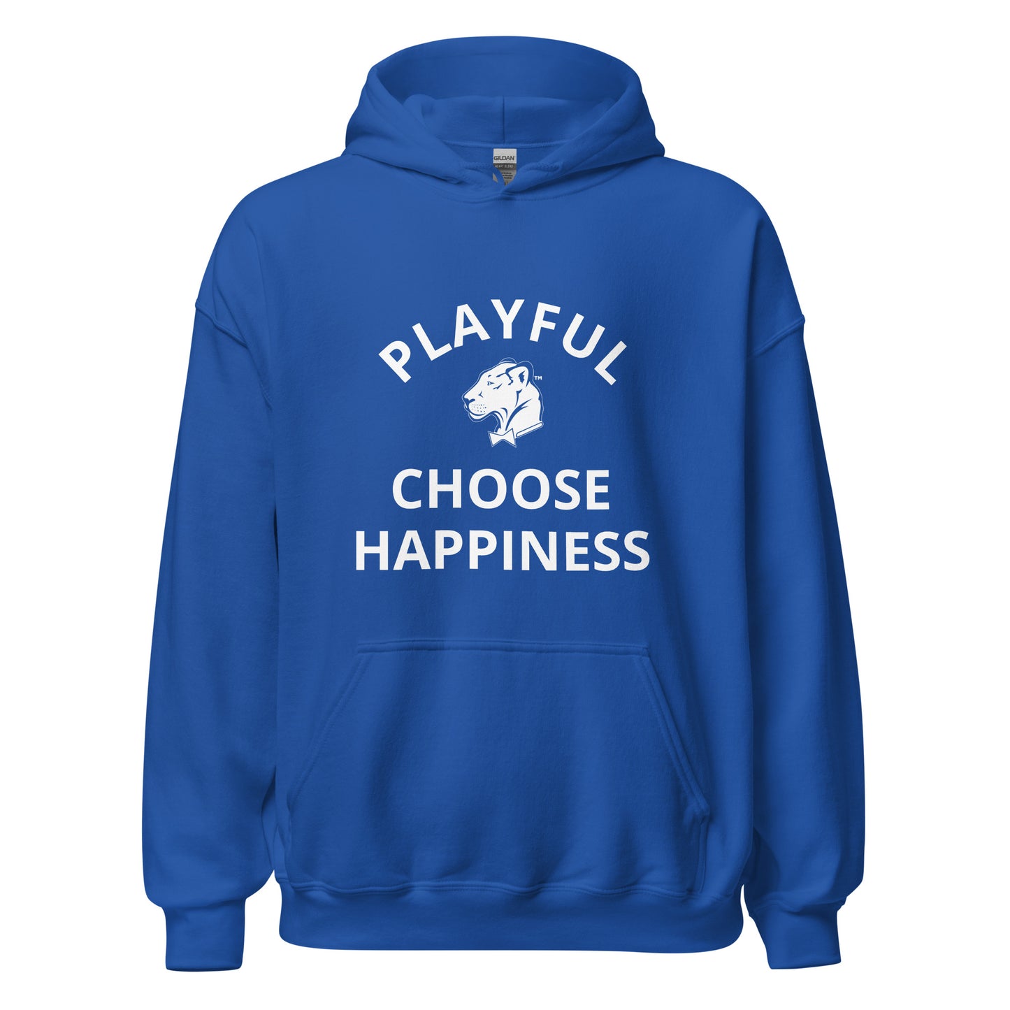 Playful "Choose Happiness" Unisex Hoodie