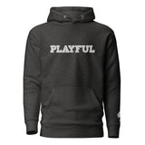 The Playful Unisex Embroidered Hoodie