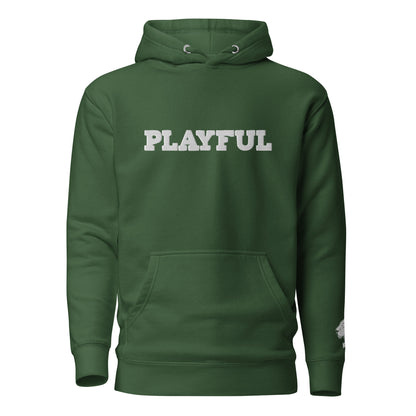 The Playful Unisex Embroidered Hoodie