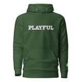 The Playful Unisex Embroidered Hoodie