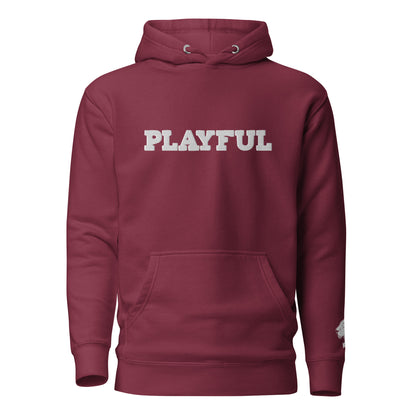The Playful Unisex Embroidered Hoodie