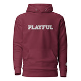 The Playful Unisex Embroidered Hoodie