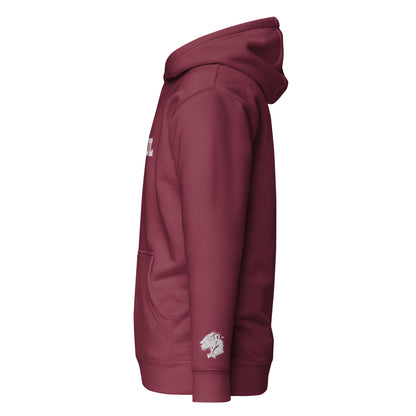 The Playful Unisex Embroidered Hoodie