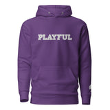 The Playful Unisex Embroidered Hoodie