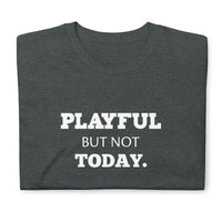Playful But Not Today (Unisex) T-Shirt