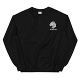 Playful Embroidered (Unisex) Sweatshirt