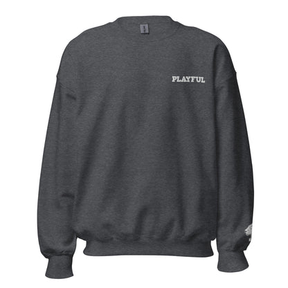 Playful Embroidered (Unisex) Sweatshirt