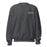 Playful Embroidered (Unisex) Sweatshirt