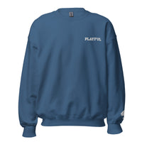 Playful Embroidered (Unisex) Sweatshirt
