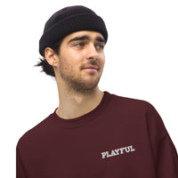 Playful Embroidered (Unisex) Sweatshirt