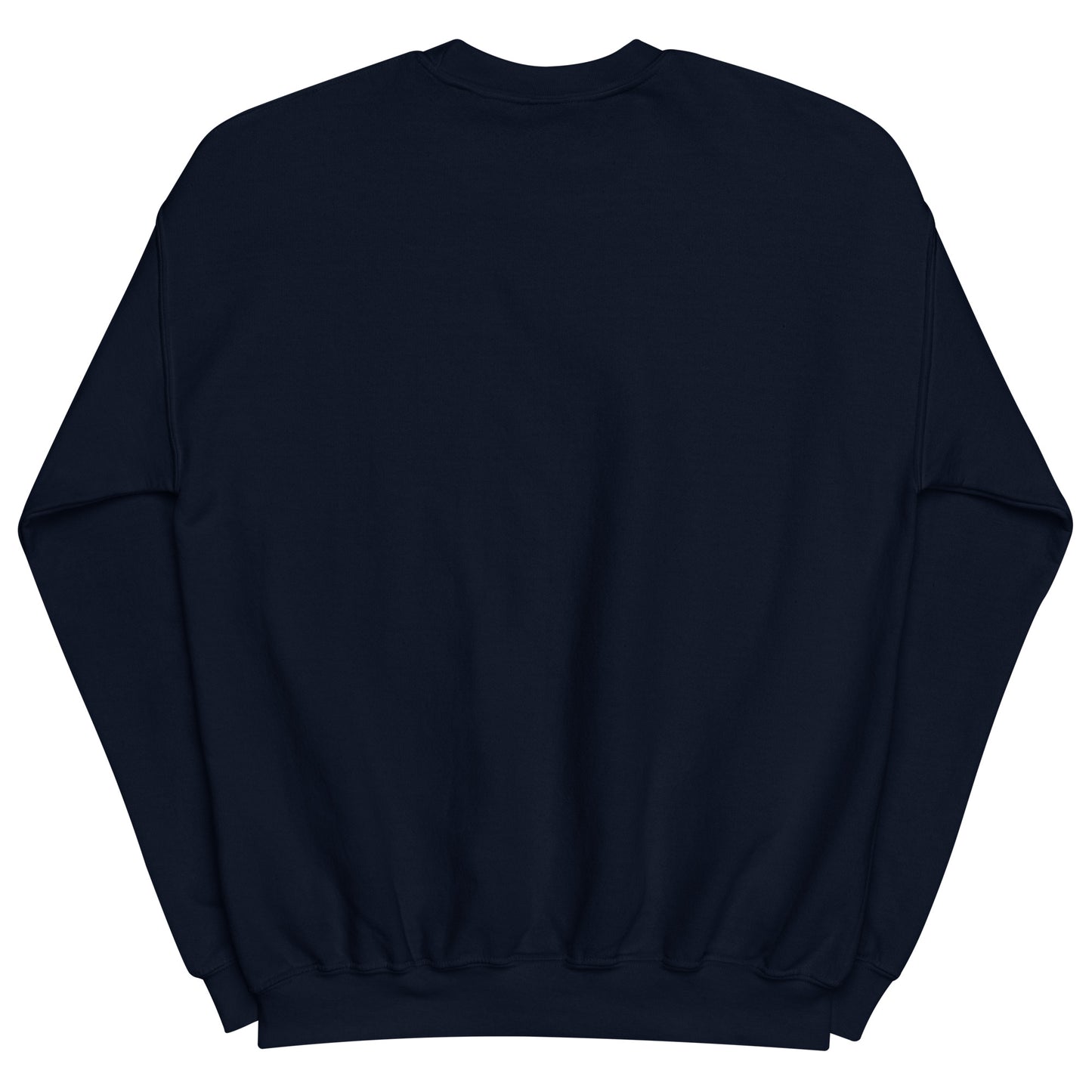 Playful Colored & Slayed (Unisex) Sweatshirt