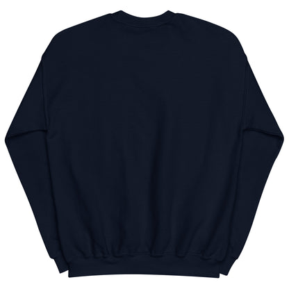 Playful Colored & Slayed (Unisex) Sweatshirt