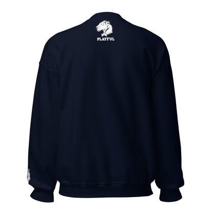 Playful Embroidered (Unisex) Sweatshirt