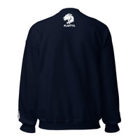 Playful Embroidered (Unisex) Sweatshirt
