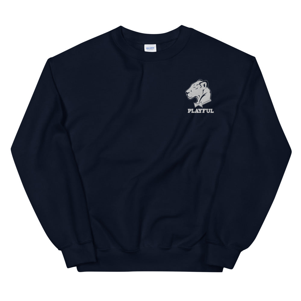 Playful Embroidered (Unisex) Sweatshirt