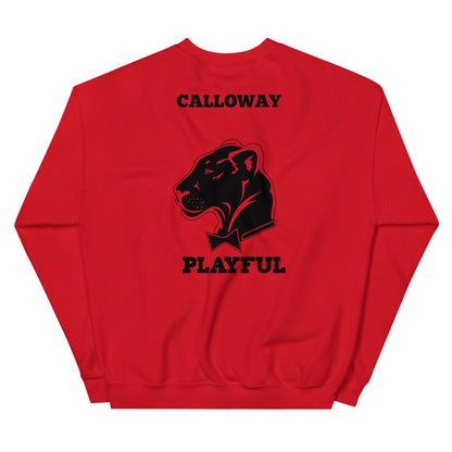 Playful - Calloway (Unisex) Sweatshirt