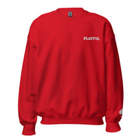 Playful Embroidered (Unisex) Sweatshirt