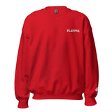 Playful Embroidered (Unisex) Sweatshirt