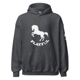 Playful Horse (Unisex) Hoodie