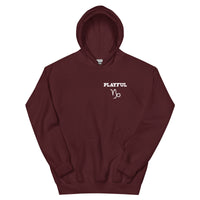 Playful Capricorn (Unisex) Hoodie