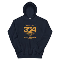 Playful WV - Gold (Unisex) Hoodie