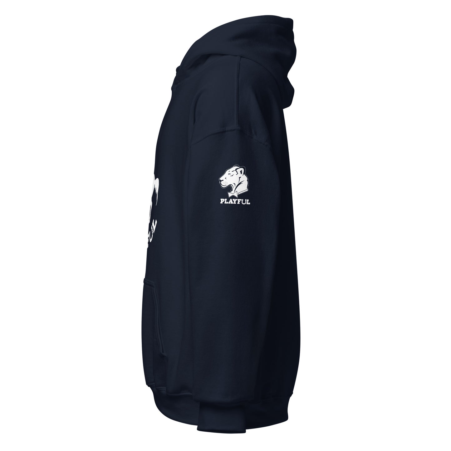 Playful Horse (Unisex) Hoodie