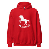 Playful Horse (Unisex) Hoodie