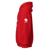 Playful Horse (Unisex) Hoodie