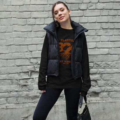 Playful WV - Brown (Unisex) Long Sleeve Tee