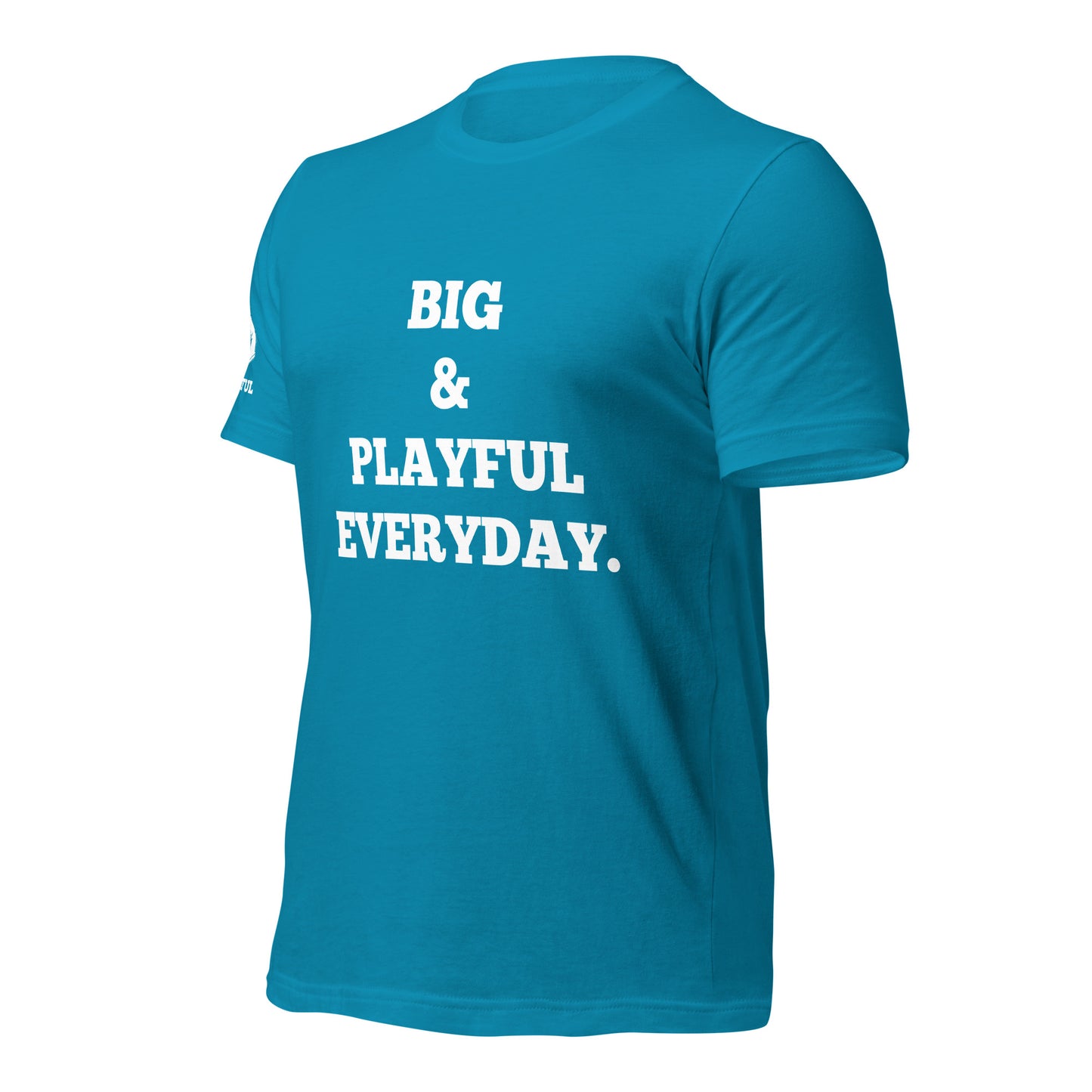 Big & Playful Everyday (Unisex) T-Shirt