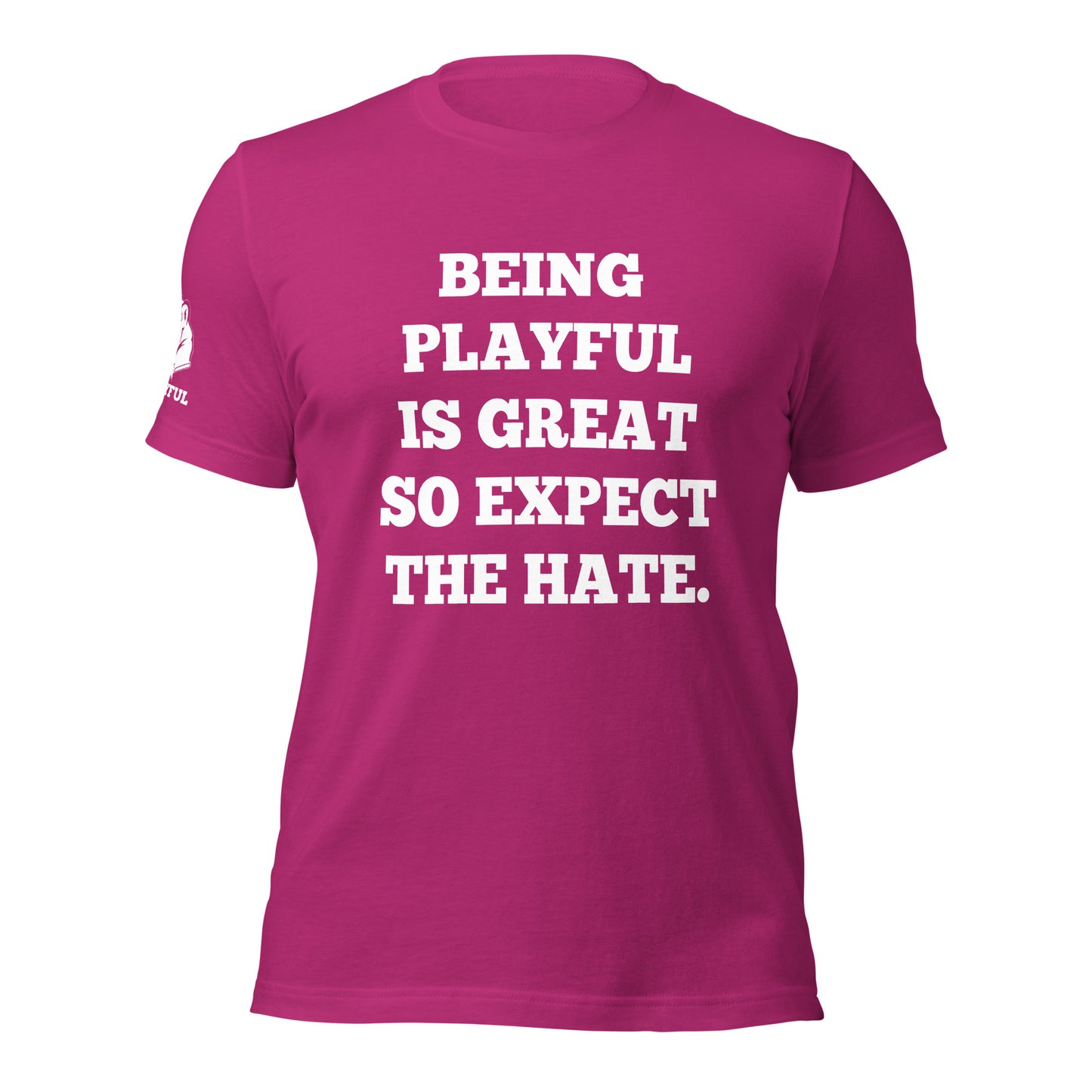 Being Playful is Great, So Expect the Hate (Unisex) T-Shirt