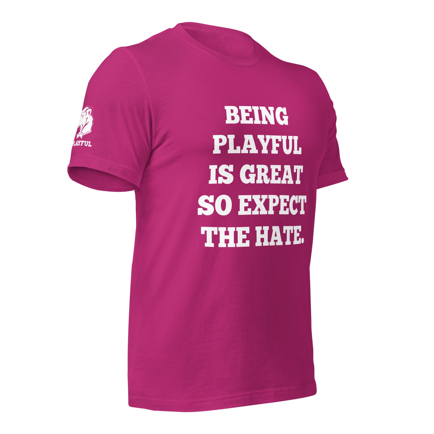 Being Playful is Great, So Expect the Hate (Unisex) T-Shirt