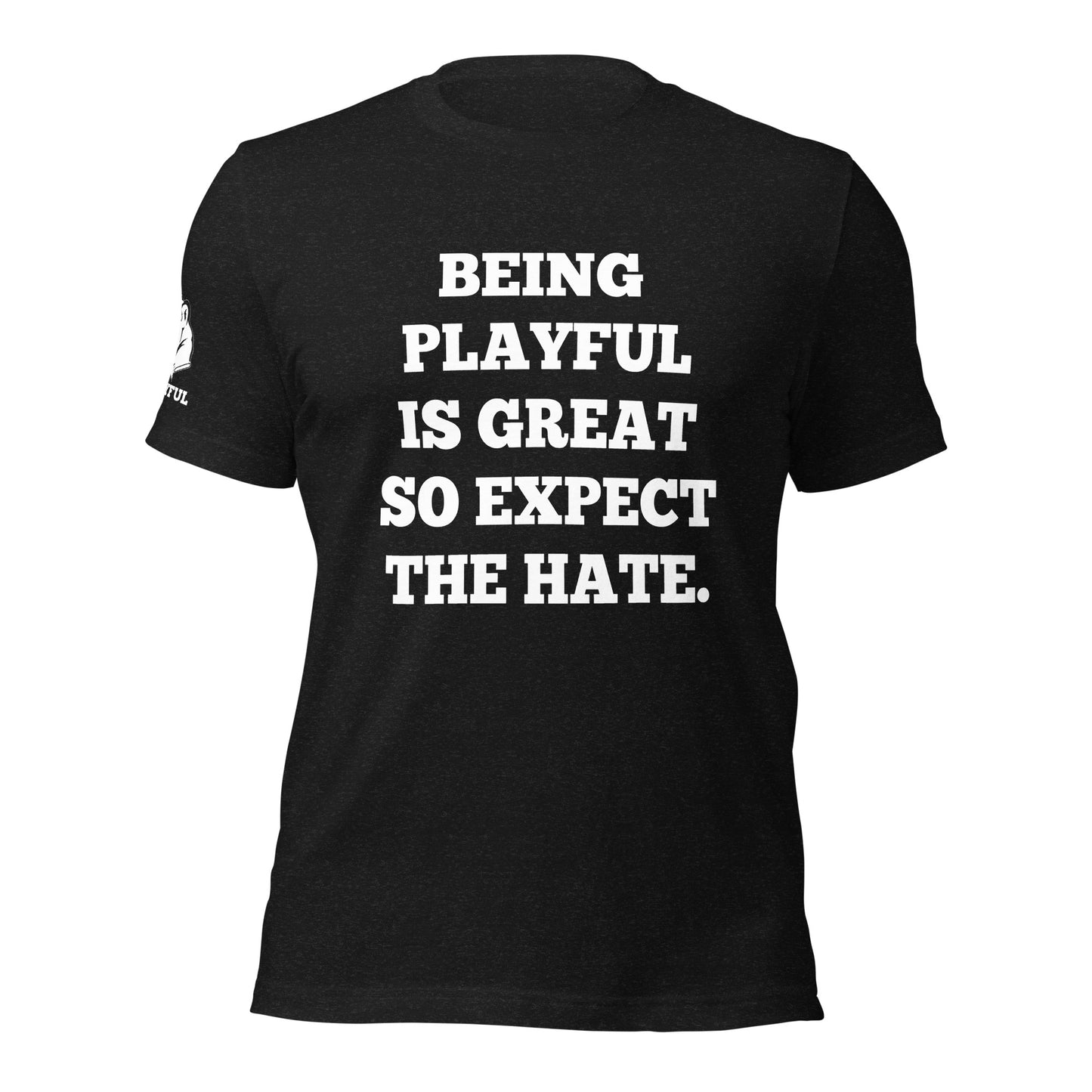 Being Playful is Great, So Expect the Hate (Unisex) T-Shirt